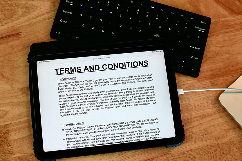 wholesale terms and conditions