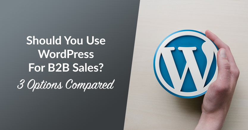 Should You Use WordPress For B2B Sales? (3 Options Compared)
