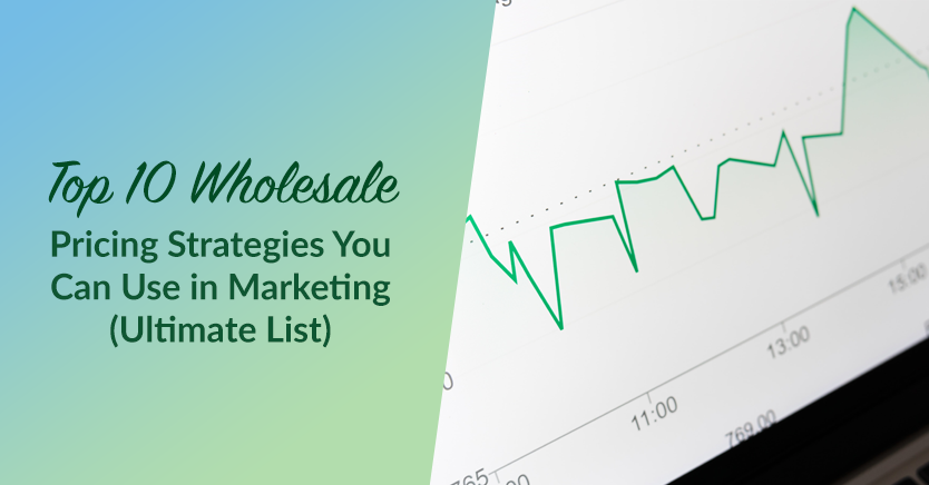 Top 10 Wholesale Pricing Strategies You Can Use in Marketing (Ultimate List)