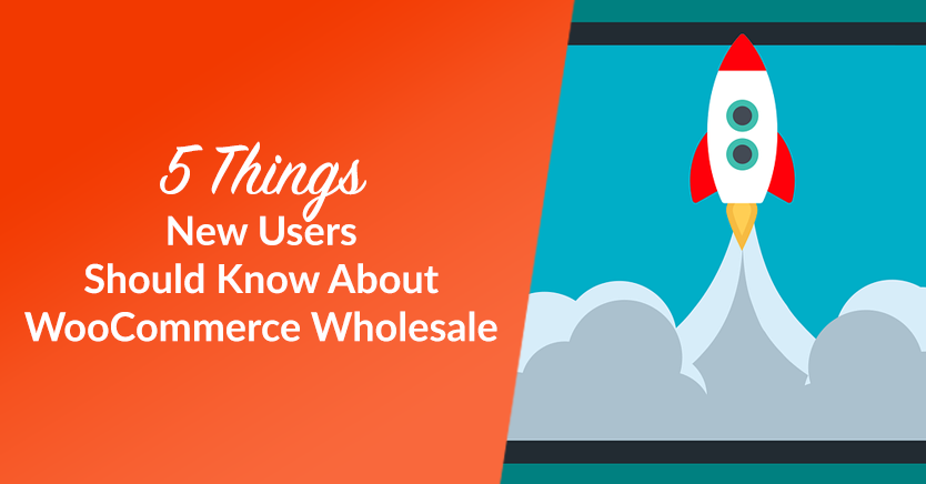 5 Things New Users Should Know About WooCommerce Wholesale