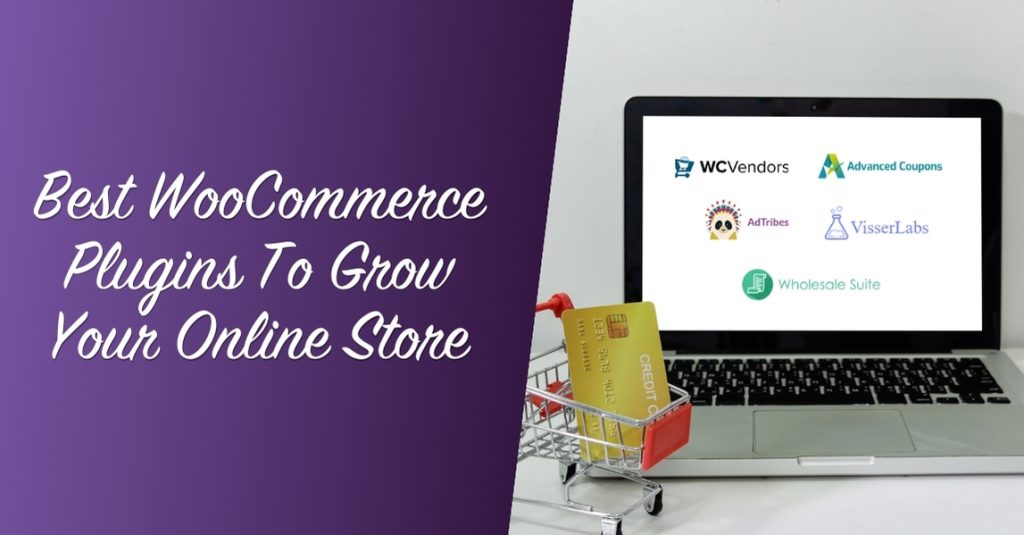Blog Header Image for article "5 Best WooCommerce Plugins To Grow Your Online Store"