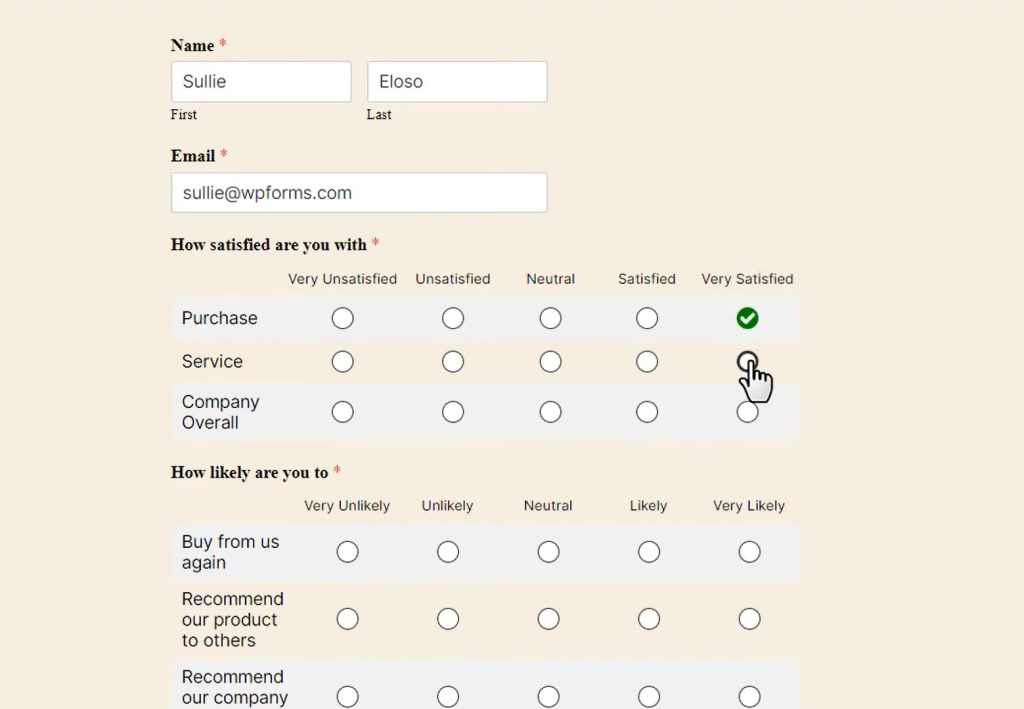 Screenshot of a sample customer satisfaction survey form, featuring custom fields. 