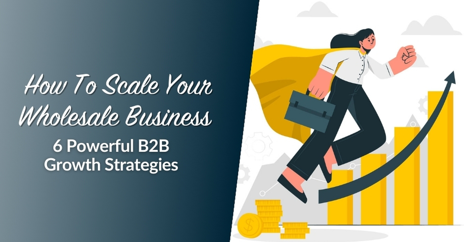 Blog header image for article "How To Scale Your Wholesale Business: 6 Powerful B2B Growth Strategies"